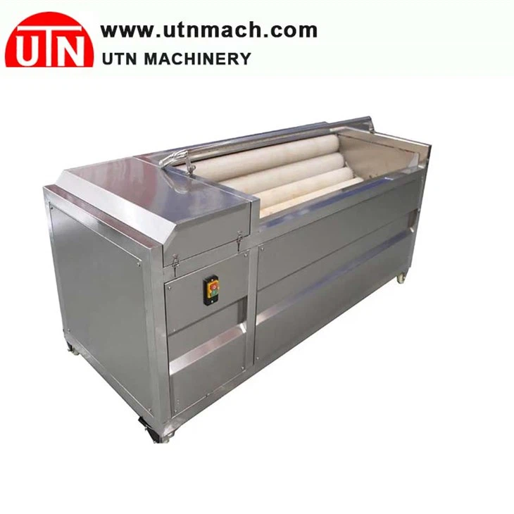 Peiriant Golchi Rholer Brws Ffrwythau A Llysiau