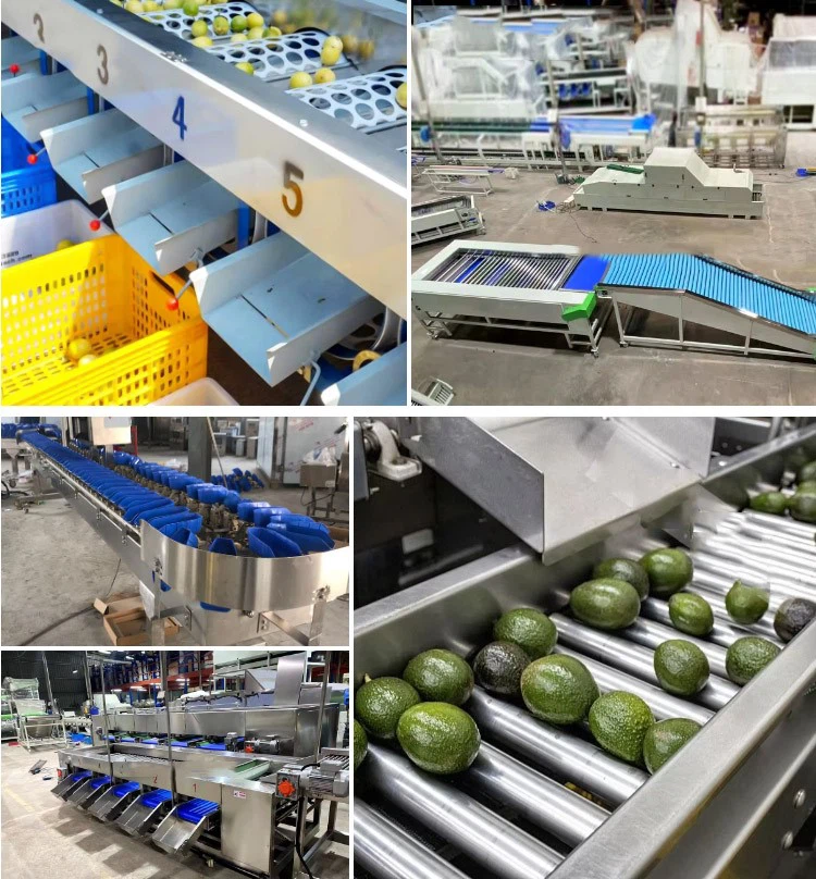 lemon classifier 3 lemon classifier 3